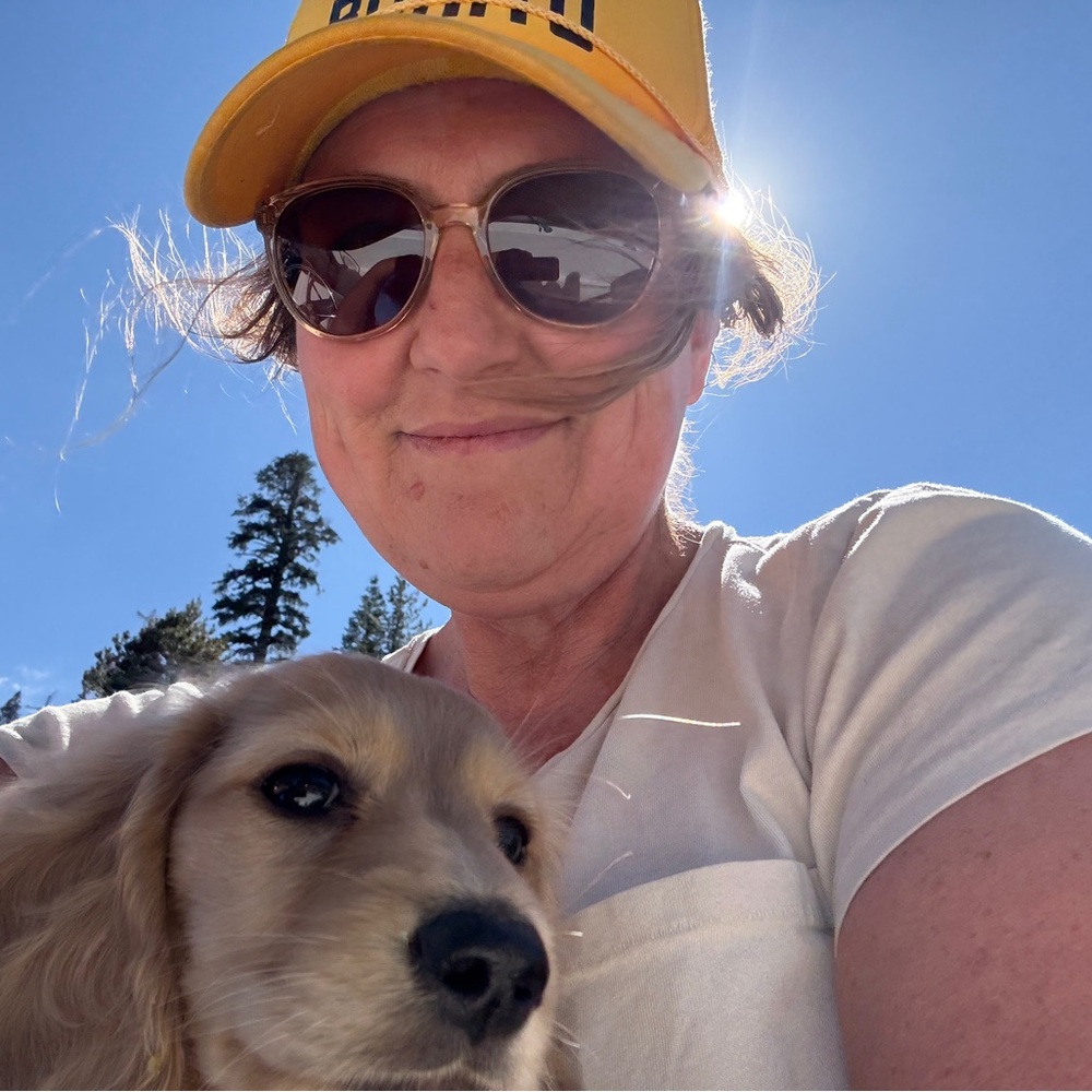 Meet your Posher, Nellie